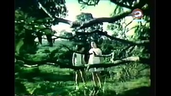 Darna and the Giants (1973)