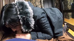 'St Valentine's Delight: Blowjob &mdash;  Screw & Cum Galore On My Long Furry Downjacket 245' Preview