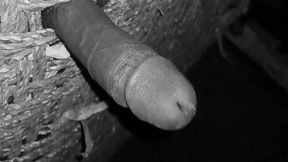 Hot Indian Desi Boy Masturbating in the Night.