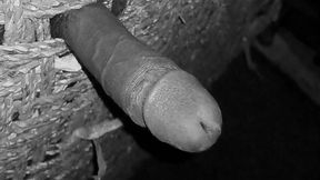 Hot Indian Desi Boy Masturbating in the Night.
