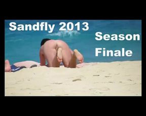 theSandfly 2013 Beach Voyeur Finale!