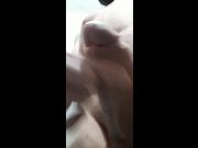 Sacando la leche que mi mujer no quiere ordeñar