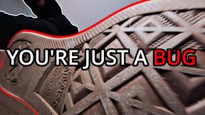 POV - YOU are just a BUG on my FLOOR - HELP you? I will CRUSH YOU, PARASITE - POV Trampling in Converse, Stepping on Camera, Cum Eating, Verbal Humiliation, Cruel Giant [1080p]