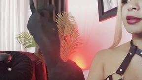 Trailer - Where is my Sissy