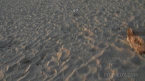 Blowjob on the beach with Yemaya Gonzalez MS007