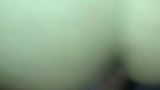 Alentejano Seguranca