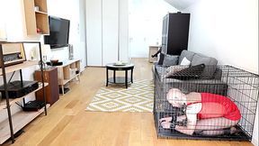 Partie 5 : L'_enfermement - Le dressage d'_une Sissy apr&egrave_s 6 Mois Sans Aucune Nouvelle - Part 5: Imprisonment Training a Sissy after 6 Months with No News