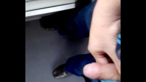 Exhibi&eacute_ndome en el Metrobus