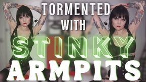 Tormented with Stinky Armpits (WMV)