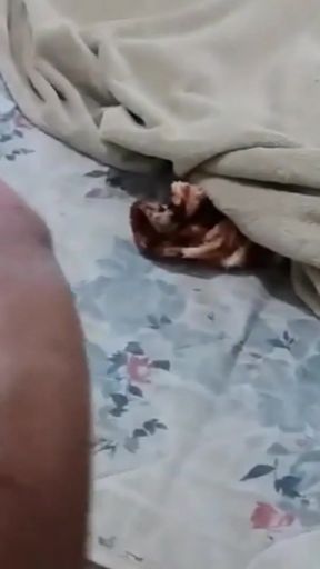 My girlfriend is very naughty   Clip 1