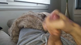 Amateur Handsome Guy with Beautiful Cock Unloads his Balls on the Couch