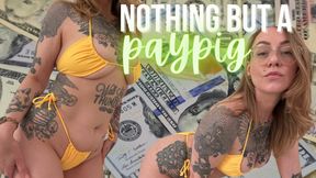 Nothing But A Paypig