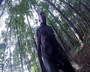 Part 2 Dirty Ib the Woods