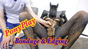 PonyPlay Edging Bondage - Jockey Kyle trains and edges a needy pony boy, teasing his massive cock and putting him through his paces