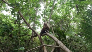 Santa Marta - Taganga, Tayrona, Mendihuaca Sex Tapes on our OF