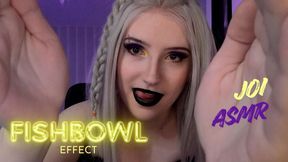 ASMR Fishbowl effect JOI
