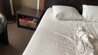 What could be better than morning sex with a young wife!!