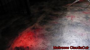 une seance bdsm au donjon avec soumis gregoupaddle, fessee, cire, pinces, ...