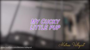 My Cucky Little Pup