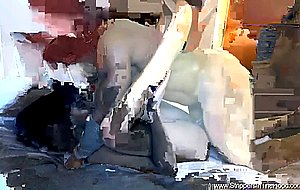 Stunning ebony cutie gets her pussy slammed —