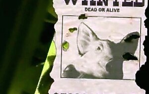 Hot rats film french complete