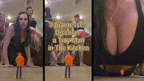 3 Giantesses Discover Tiny Man in Kitchen - GGG Giantess Fetish