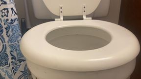 toilet fetish - Disguised as a Roach – Worshiping the Toilet of Giantess MXDominion, femdom, shrinking fetish. giantess special effects