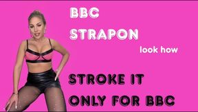 BBC Strapon Goddess JOI: MILF Cuck Training with Pantyhose Tease & Cum Countdown