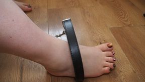 I want your money #100