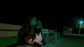 Femboy at Night in the Park