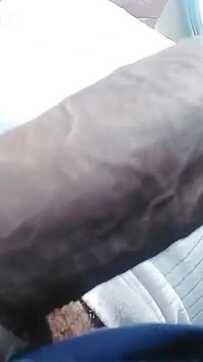 Sexy Cock