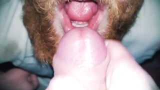 Homo MILF bubustark enjoys Christmas bounty with his brother-in-law & gets a mouthful of cum