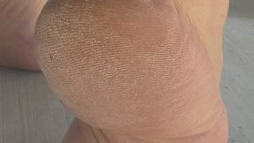 DESERT DRY