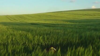 Dark Haired Woman Goes Barefoot In The Wheat Field And Sucks Her Own Toes  Kinky4Ever