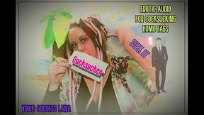 Erotic Audio for Cocksucking Homo Fags by GoddessLana