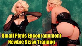 Small Penis Encouragement and Newbie Sissy Training (4K)