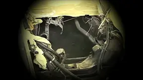 Two Beautiful Sexy Girls Lick Each Other's Pussy with a 69