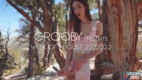 Cute doxy's trans action