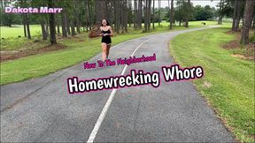 pov cheating husband gets homewrecker blowjob with facial