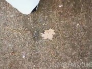 URINOIRS LIKE THAT ARE MY BEST FRIEND in the public park