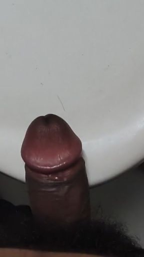 Chupke Se dusre ke bathroom mein dekhkar sex karne lag Gaya   Clip 1