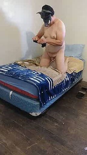pig needs an owner