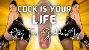 Cock is Your Life || Encouraged Bi ||