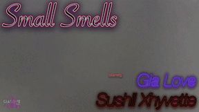 Small Smells (MP4 1080P)