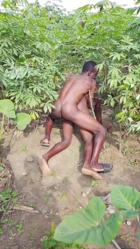 Two Africans Herdsmen Having Sex in the Bush
