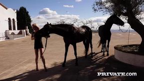 swingers resort, backstage