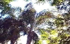 Billy Brandt: Lost On Sex Island