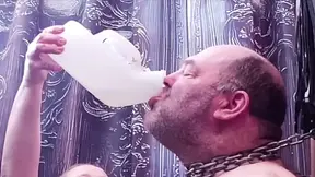 Part 2:- The results of the vote's are in! Domina or Booboo?