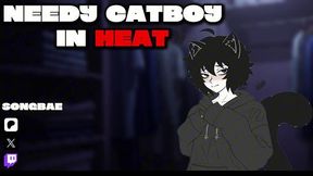 [asmr] Needy Catboy In Heat