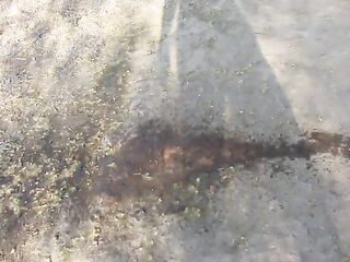 A mother I'd like to fuck void urine, during the time that walking behind the garages on the street and in the yard. Urine from beneath her hairless twat.